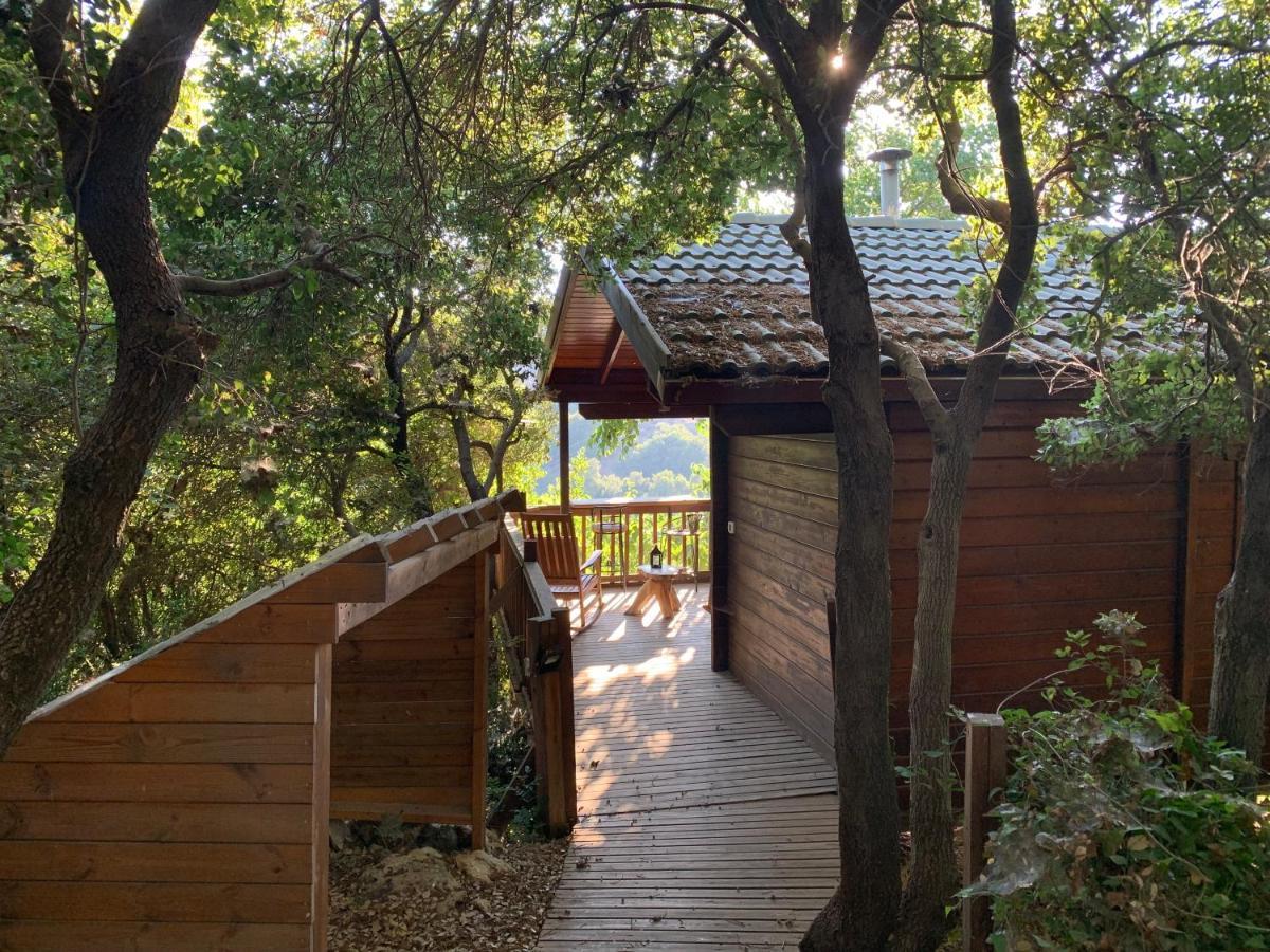Villa פסגת מתת Pisgat Mattat Exterior foto