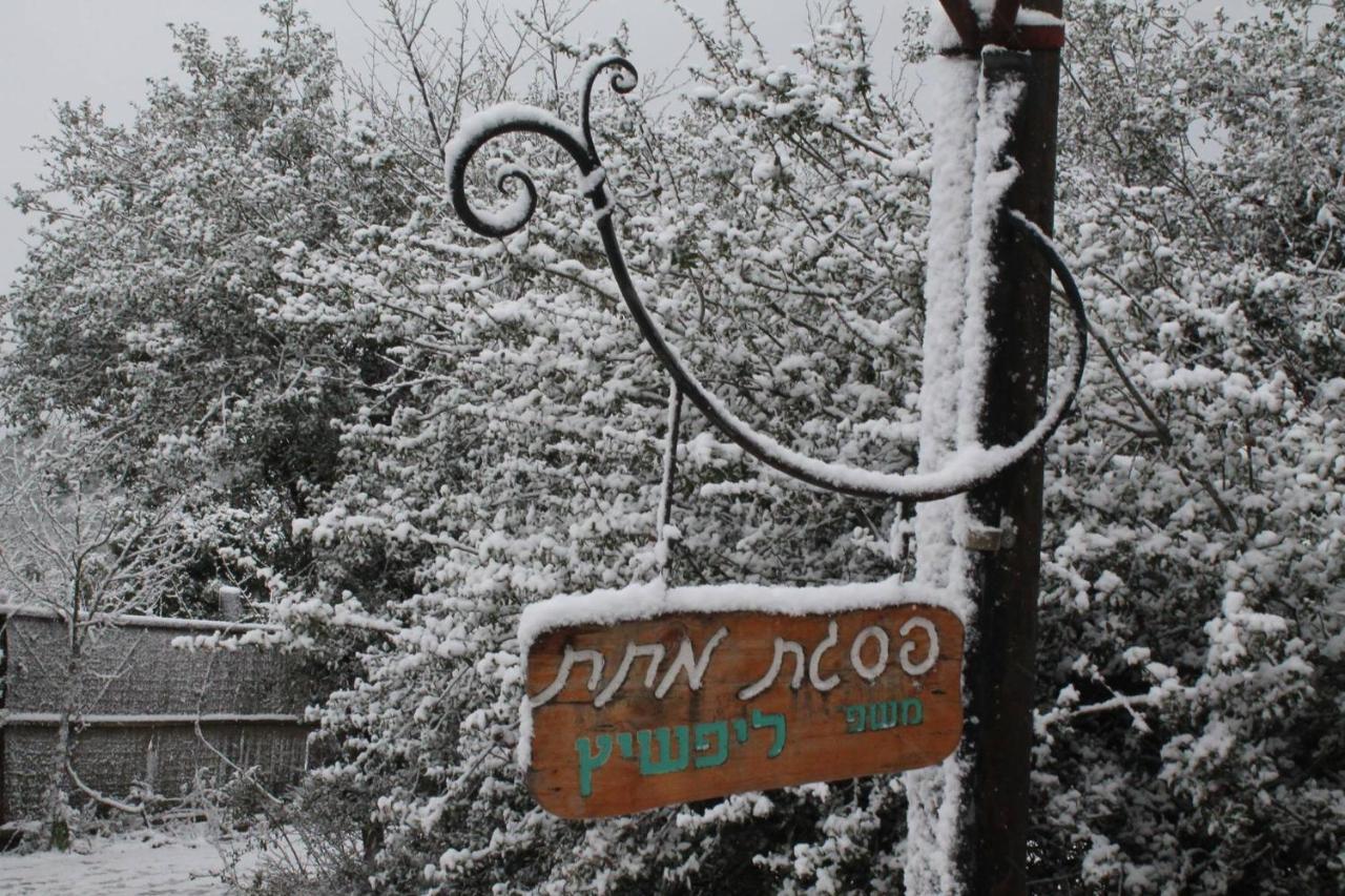 Villa פסגת מתת Pisgat Mattat Exterior foto